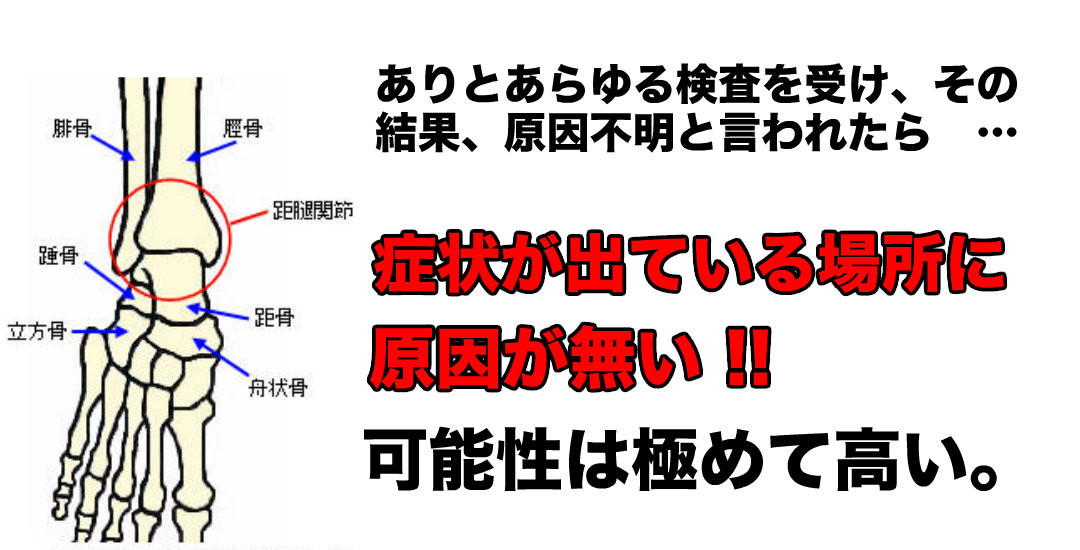 岡山市の腰痛でお悩みの方で検査してもっらても原因がないと言われた方